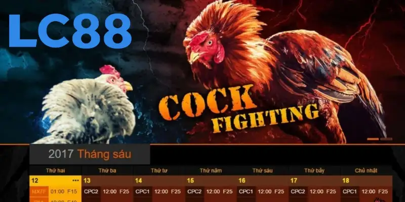 Những hình thức đá gà LC88 mà bạn nên thử